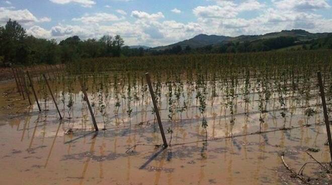 ALLUVIONE_FaenzaMaggio2014_5.jpg