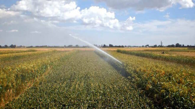 Agricoltura_Irrigazione1.jpg