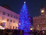 L'albero di Natale del 2013