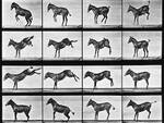 Fotografia di Eadweard Muybridge