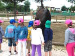 Al Parco Safari si cercherà di capire l'importanza degli animali per i bambini