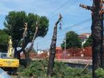 I cantieri per i lavori di realizzazione del Trasporto Rapido Costiero tra Rimini e Riccione