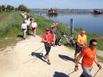 Nordi Walking nelle valli di Comacchio