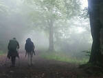 Verso la cime del Monte Zucca