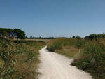 Nella foto si vede dove finisce la carraia nella sottostante strada asfaltata e si vede sulla destra quello che è rimasto del sentiero che veniva percorso solo qualche anno fa da decine di persone per arrivare al mare sia a piedi che in bici