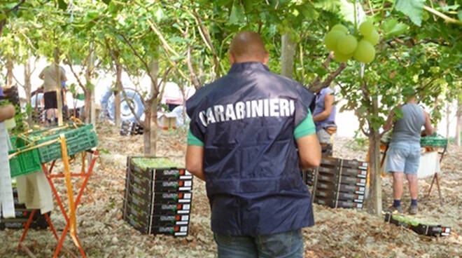 Un'immagine dell'azienda agricola di Russi durante i controlli