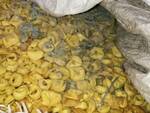 I tortellini sequestrati dai Nas di Bologna (foto Carabinieri)