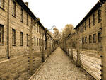 Un particolare del campo di concentramento di Auschwitz