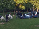 Un'immagine dell'operazione portata a termine dalla Polizia a cavallo di Rimini