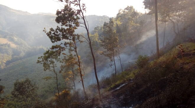 Parte del terreno andato a fuoco