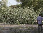 I danni provocati dal maltempo del 10 agosto a Forlì e in Romagna