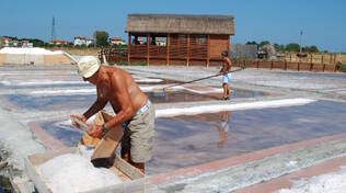 La salina di Cervia