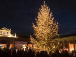 Albero di Natale al Paviglione di Lugo