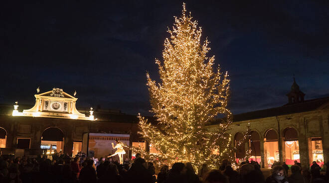 Albero di Natale al Paviglione di Lugo