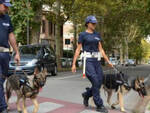Le unità cinofile della Polizia municipale di Ferrara - Foto inviata da Stefano Donati -