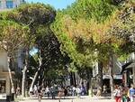 Viale Ceccarini a Riccione (immagine d'archivio)