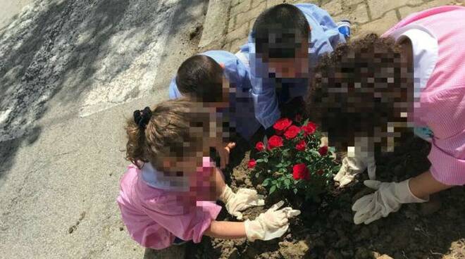 I bimbi di Civitella mentre piantano i fiori nelle aiuole antistanti la scuola dell'infanzia privata Giovanni XXIII
