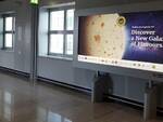 La grande Piadina-Luna stampata sui display luminosi dell’aeroporto di Francoforte