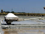 Salinaro alle Saline di Cervia