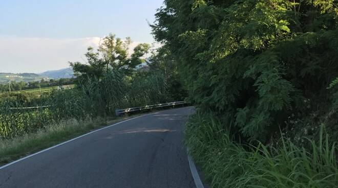 Una delle curve in via Veclezio dove la vegetazione invade la carreggiata