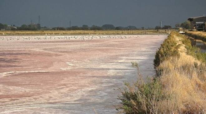 Saline di Cervia (foto di repertorio)