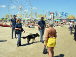 I controlli estivi della polizia sulle spiagge della Riviera Romagnola (foto d'archivio)