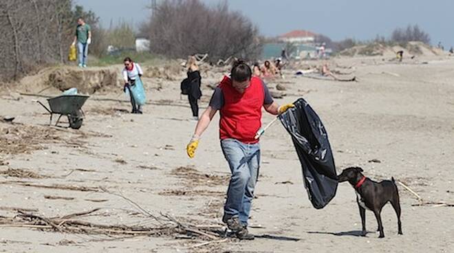 Una precedente opera di pulizia della spiaggia da parte dei volontari (foto d'archivio)