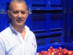 Giancarlo Minguzzi, presidente Fruitimprese Emilia Romagna