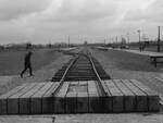 Auschwitz - Birkenau