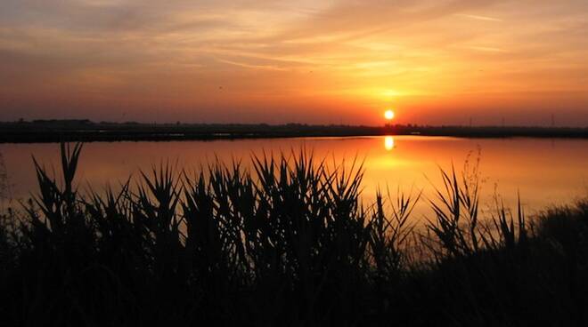 Tramonto alla Salina