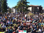 Fridays for Future a raccolta