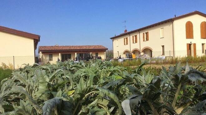Azienda agricola 'I Cuori' di Bagnara di Romagna