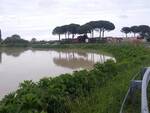 Il fiume Savio alle ore 14 di oggi 13 maggio