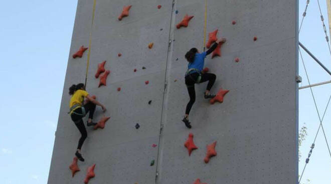 La parete di arrampicata speed di Faenza dove si allenano attualmente i nazionali ravennati dell'Istrice