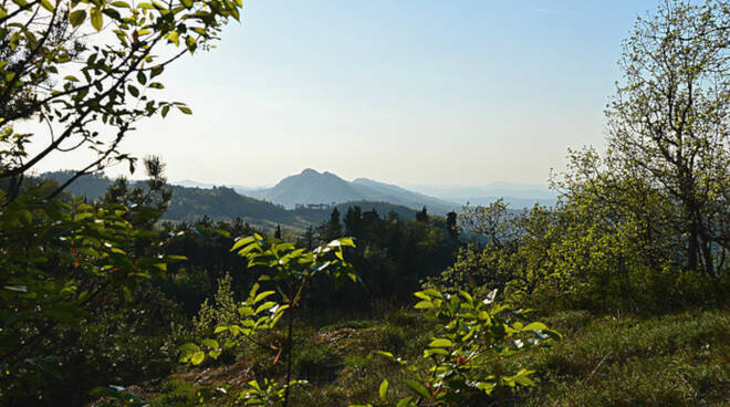 La Vena del Gesso vista dal Carnè; monte Mauro e monte Tondo sullo sfondo