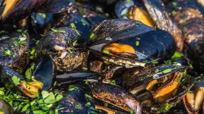 Cozze di Marina di Ravenna