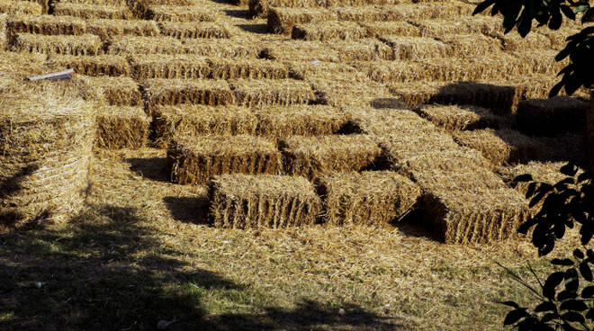 L'Arena delle balle di paglia di Cotignola