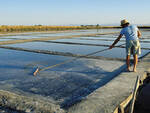 Saline di Cervia