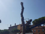 Alberi Via Maggiore