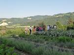 Il Giardino delle Erbe di Casola Valsenio