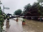 maltempo cervia 15 luglio 