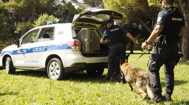 Cane antidroga Rimini