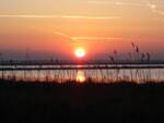 Cervia_Salina 