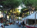 L'antico e le palme milano marittima