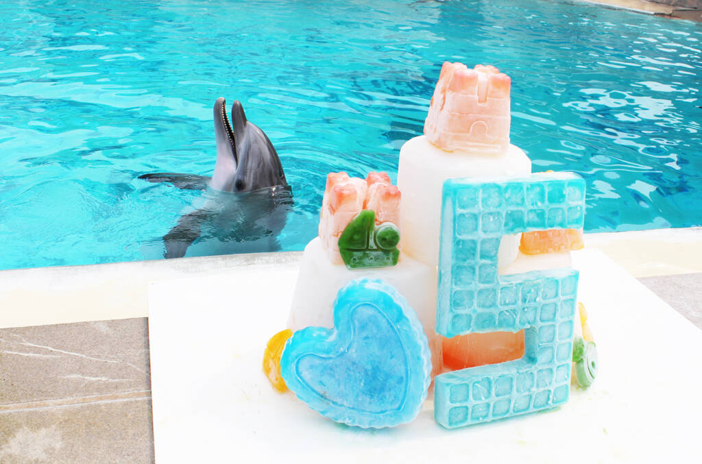 Oltremare Riccione: festa per il 5° compleanno del delfino Taras