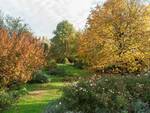 giardini segreti autunno