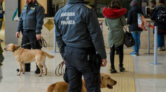 unità cinofila - GdF - labrador Bac 