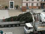 albero di natale cervia 2019