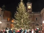 Albero di natale 2019