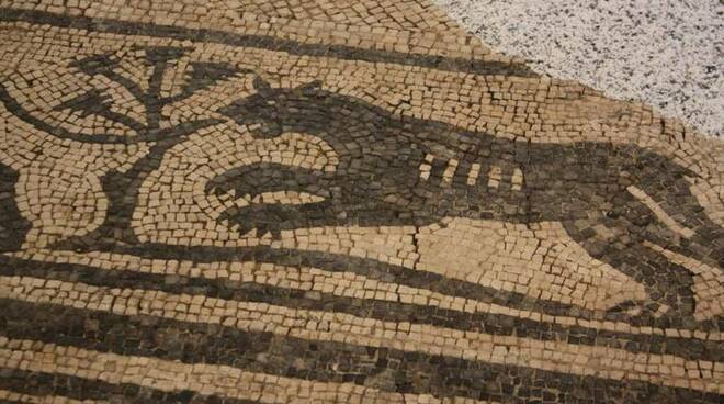 Cesena, il mosaico di via Strinati si svela alla città tutti i giovedì dal 21 novembre al 19 dicembre - cesenanotizie.net